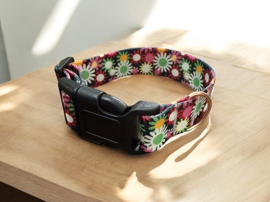Everyday Black Dog collar with Daisies