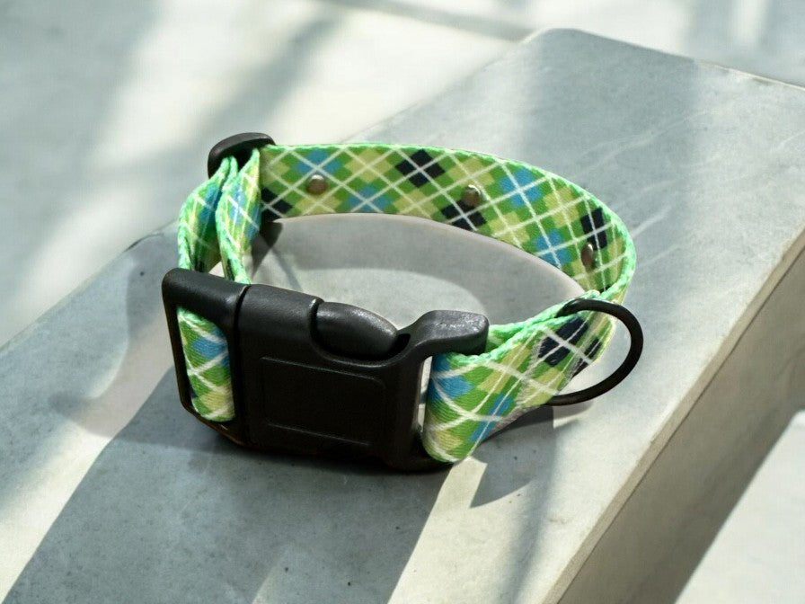 Everyday Argyle Blue and Green collar