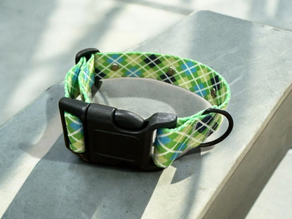 Everyday Argyle Blue and Green collar