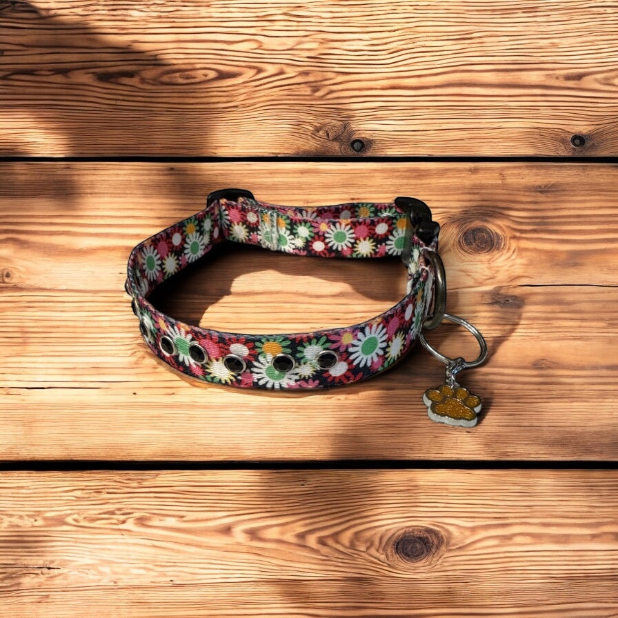 Everyday Black Dog collar with Daisies