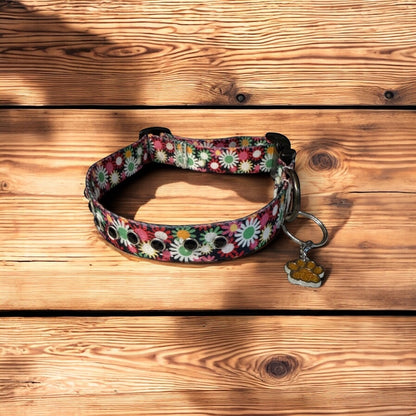 Everyday Black Dog collar with Daisies