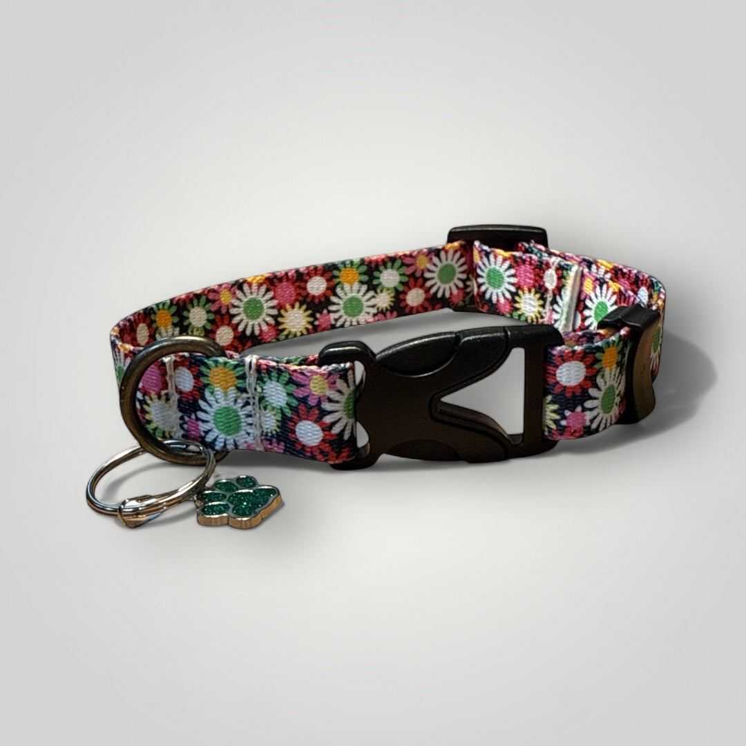 Everyday Black Dog collar with Daisies