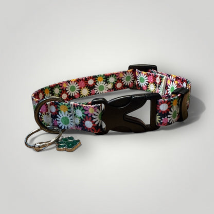 Everyday Black Dog collar with Daisies