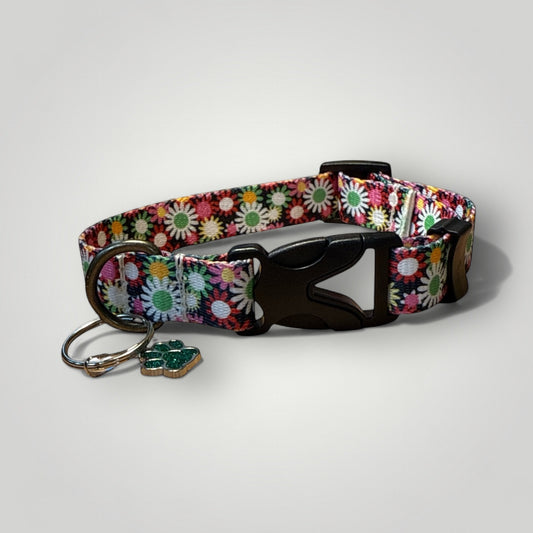 Everyday Black Dog collar with Daisies